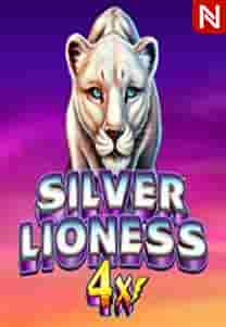 Silver Lioness4x